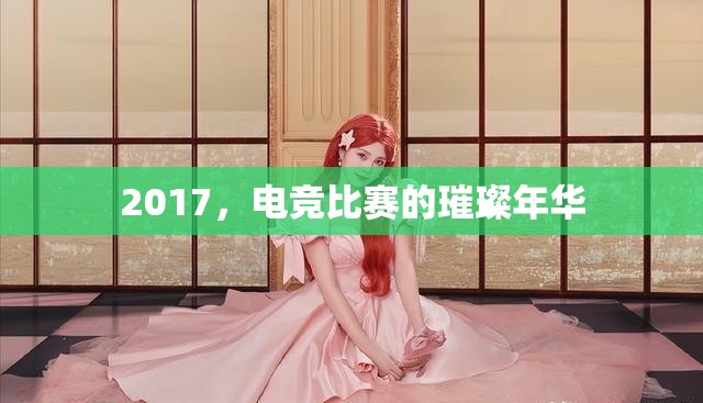 2017，电竞比赛的璀璨年华