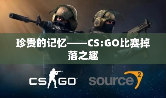 珍贵的记忆——CS:GO比赛掉落之趣