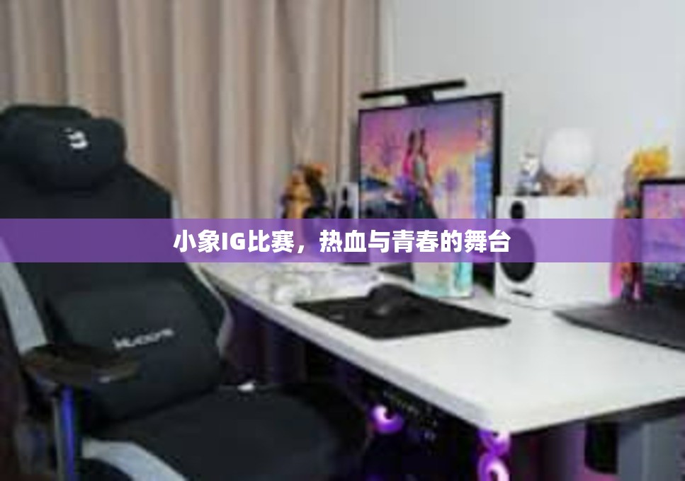 小象IG比赛，热血与青春的舞台